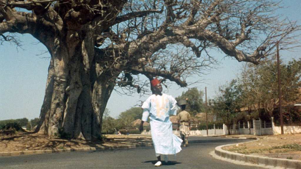 Sembene’s Cinema : Hierarchy of Problems